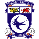 Cardiff City icon